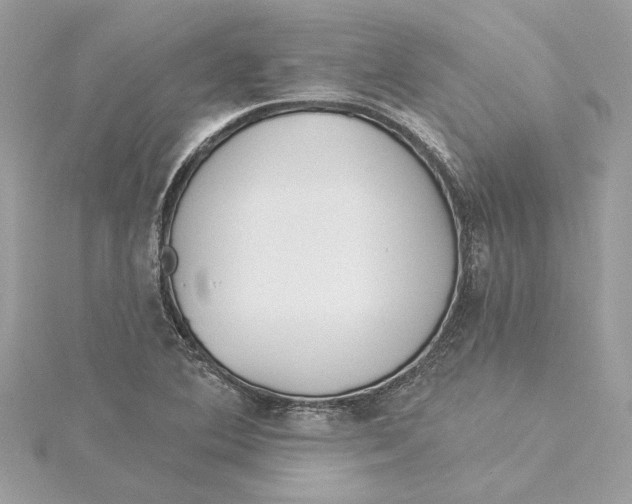 X0000115431364200911251217