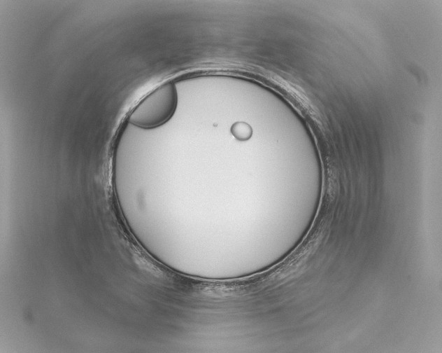 X0000115431366200911251217