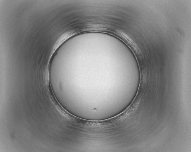 X0000115431370200911251217