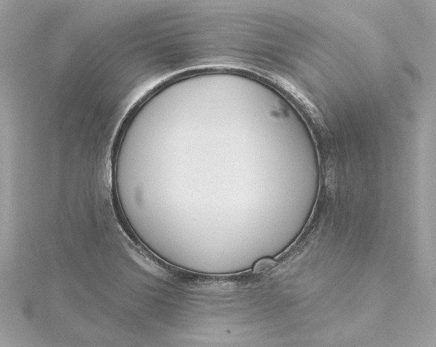 X0000115431372200911251217