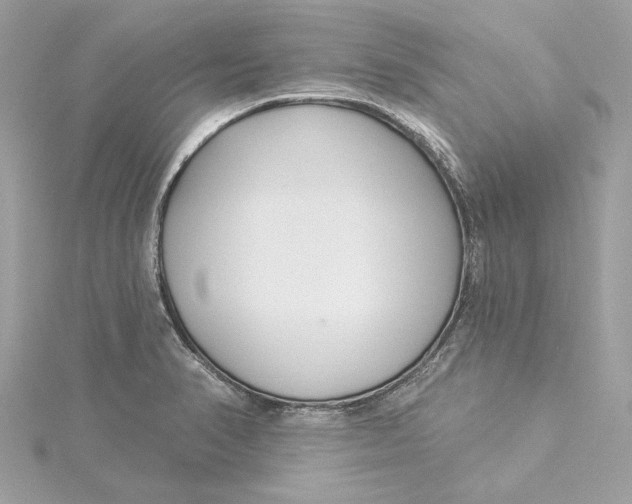 X0000115431374200911251216