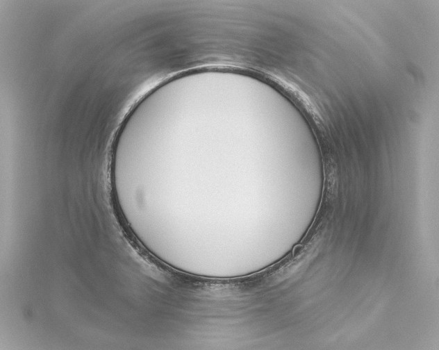 X0000115431375200911251216