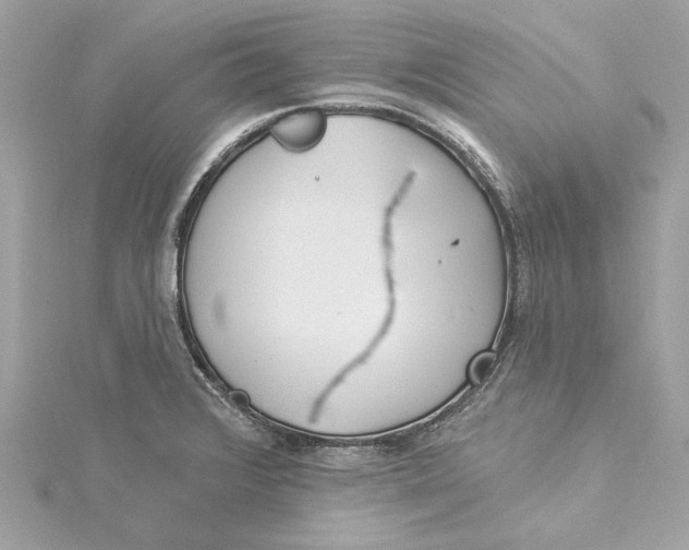 X0000115431376200911251216