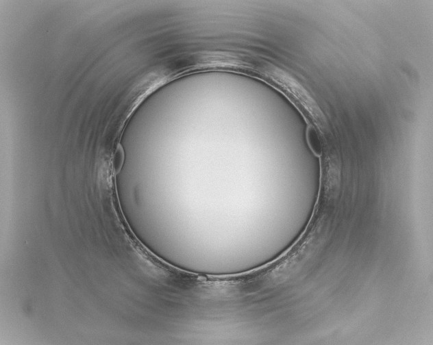 X0000115431377200911251216