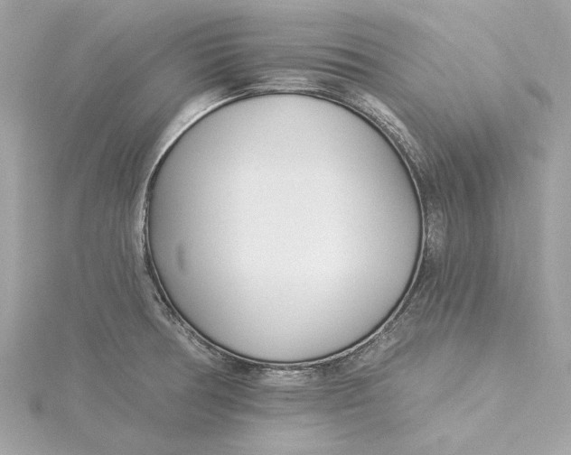 X0000115431378200911251216