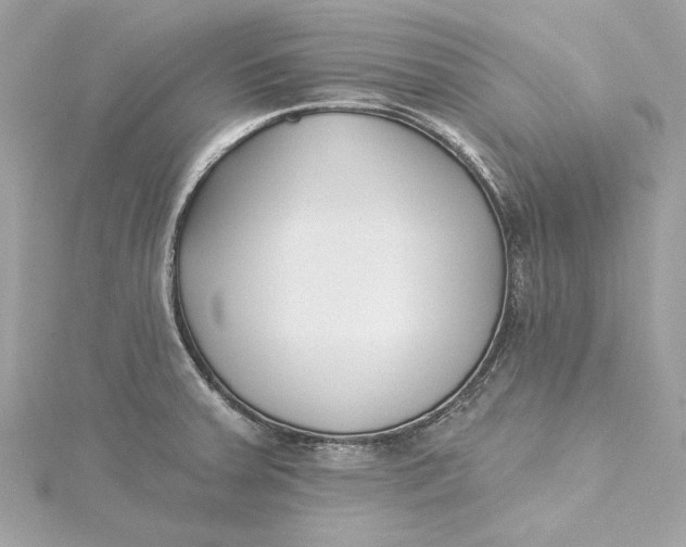 X0000115431379200911251216