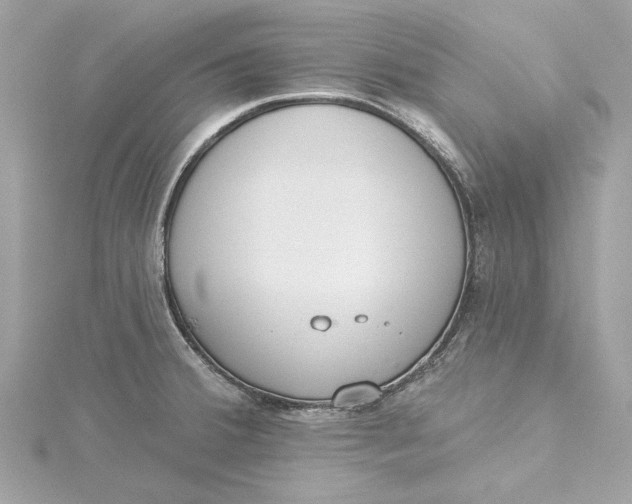 X0000115431380200911251216