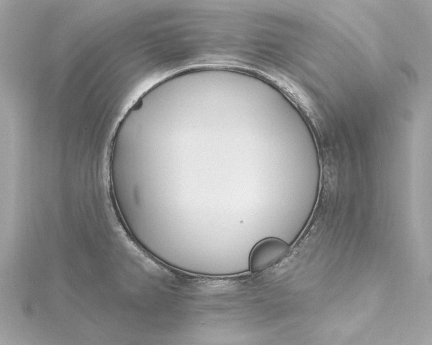 X0000115431382200911251216