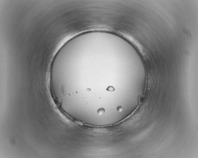 X0000115431383200911251216