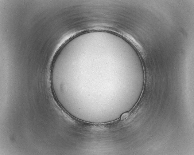 X0000115431384200911251216