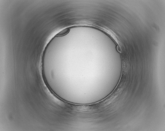 X0000115431387200911251216