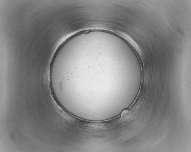 X0000115431388200911251216