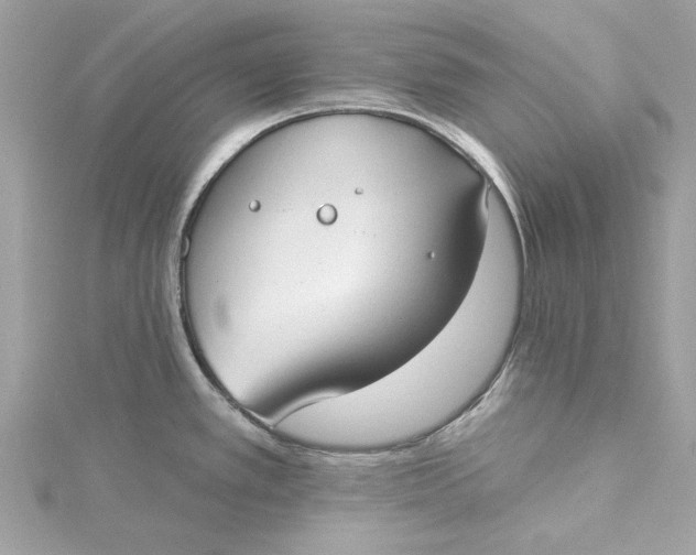 X0000115431389200911251216