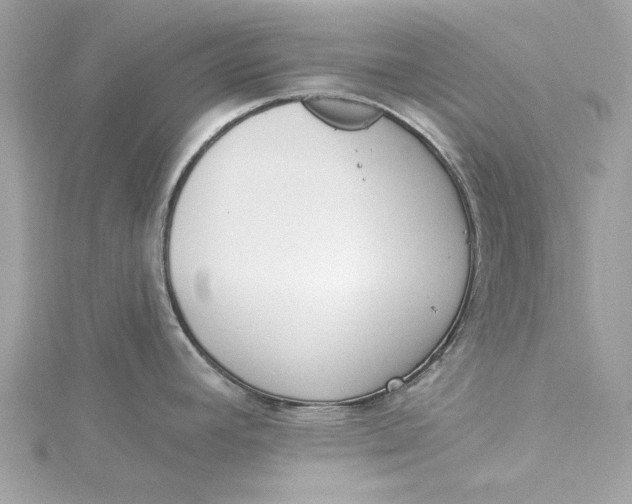 X0000115431392200911251216