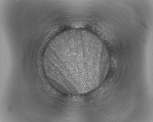 X0000115431393200911251216