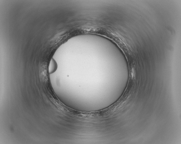 X0000115431396200911251216