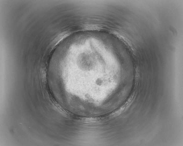 X0000115431401200911251216