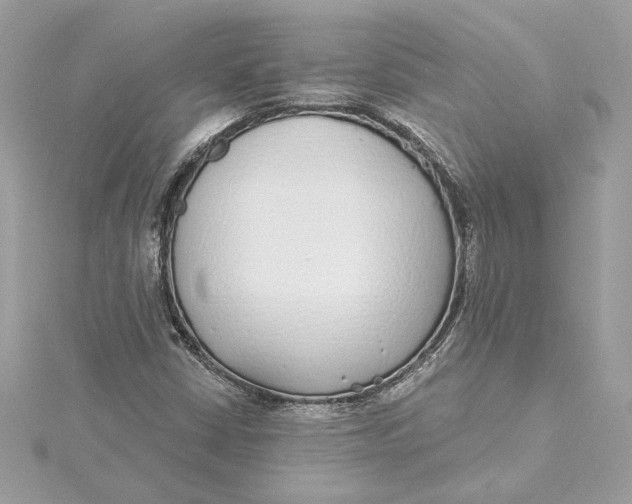 X0000115431402200911251216