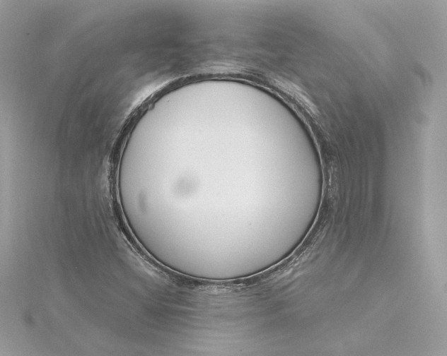 X0000115431404200911251216