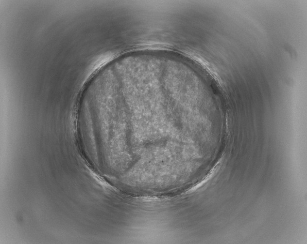 X0000115431405200911251216