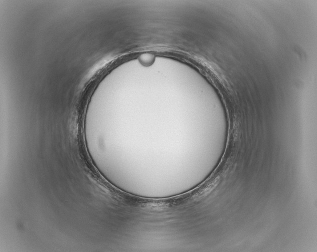 X0000115431406200911251216