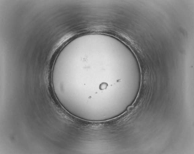 X0000115431410200911251216