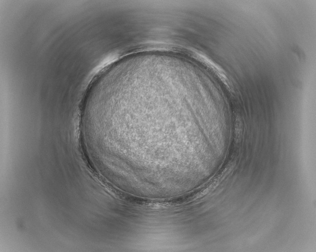 X0000115431411200911251216