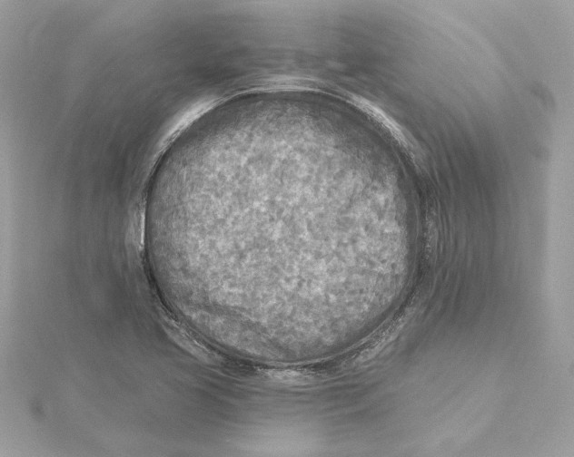 X0000115431413200911251216