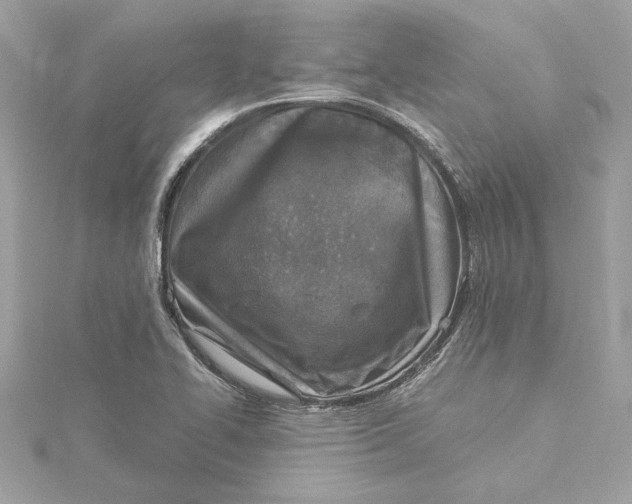 X0000115431414200911251216