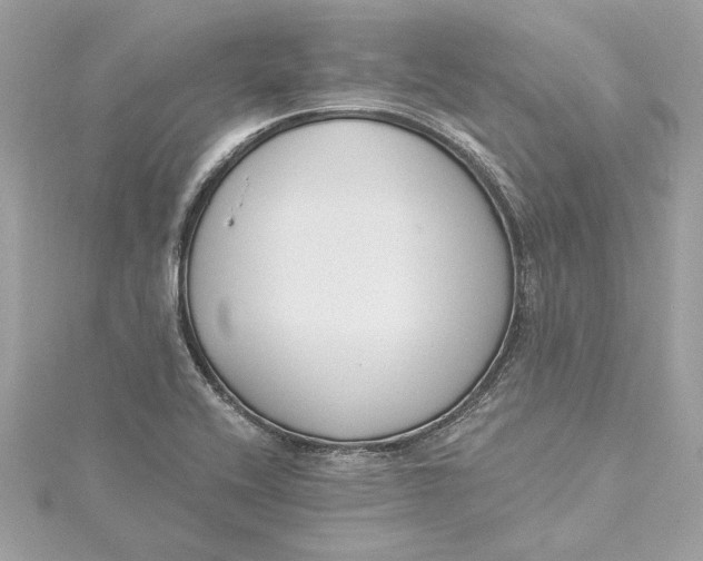 X0000115431416200911251216