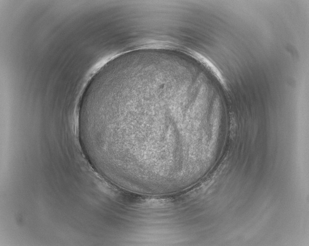 X0000115431419200911251216