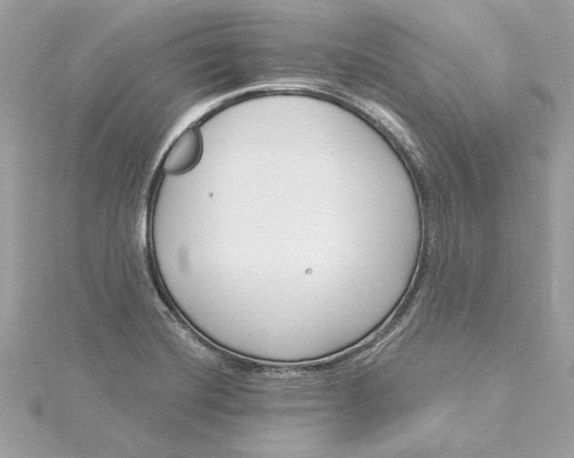 X0000115431420200911251216