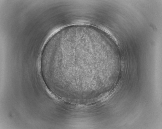 X0000115431421200911251216