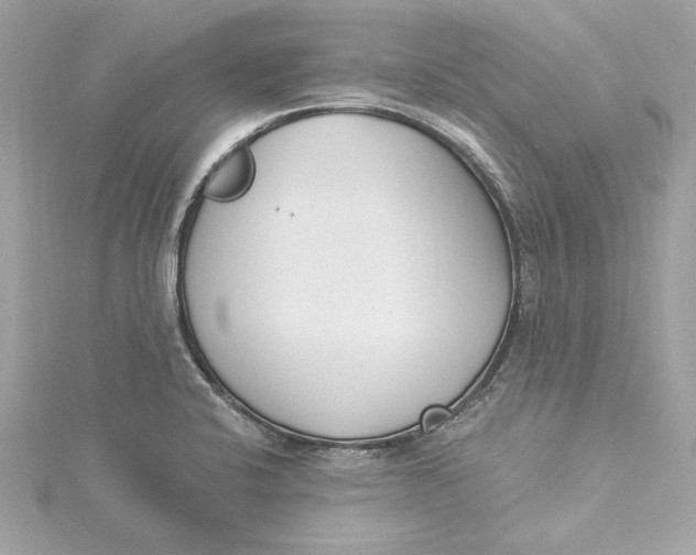 X0000115431424200911251216