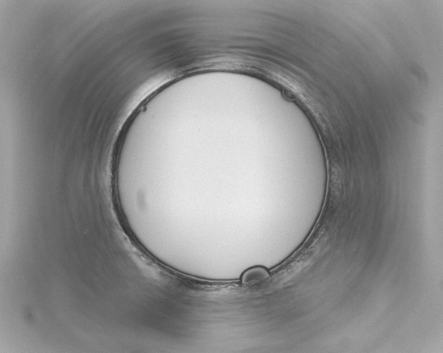 X0000115431426200911251216