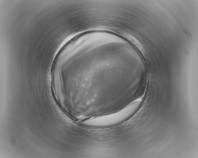 X0000115431428200911251216