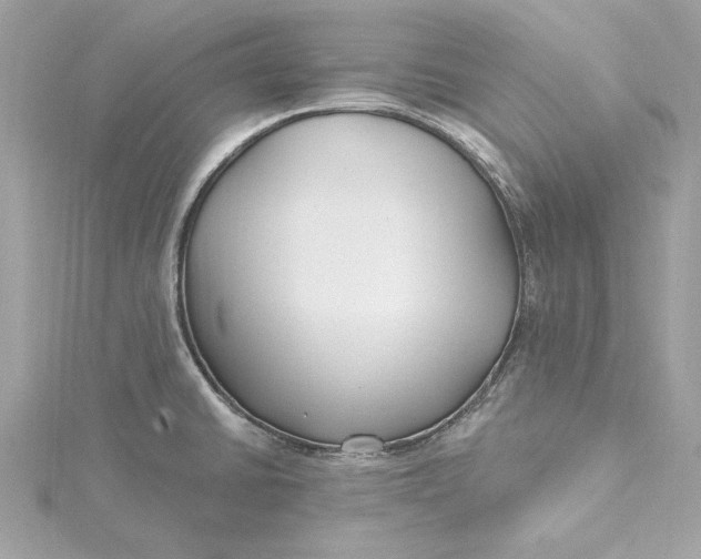 X0000115431430200911251216