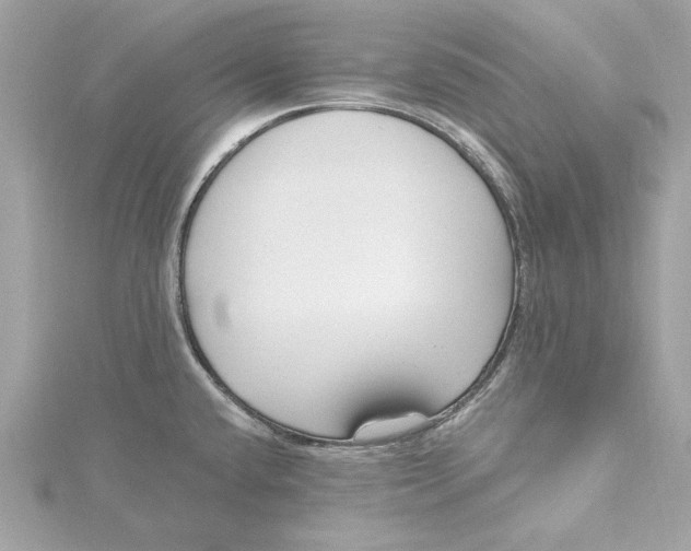 X0000115431432200911251216