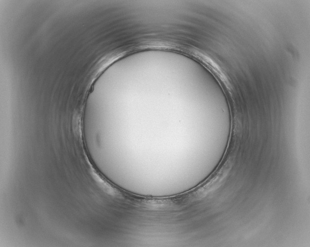 X0000115431433200911251216