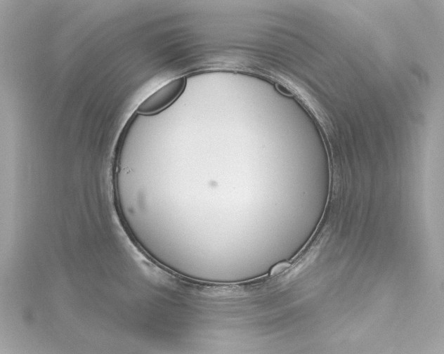 X0000115431434200911251216