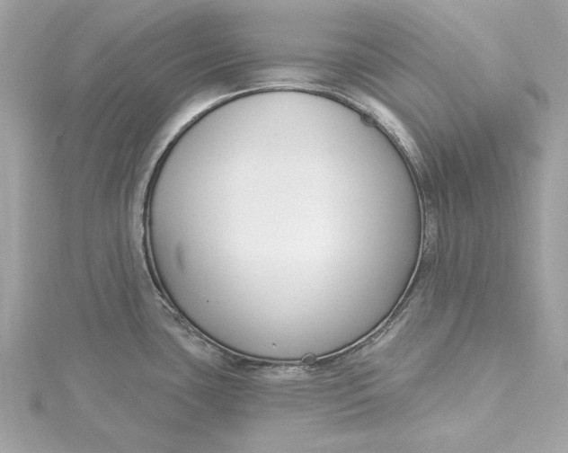 X0000115431435200911251216