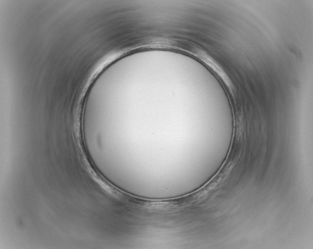 X0000115431437200911251216