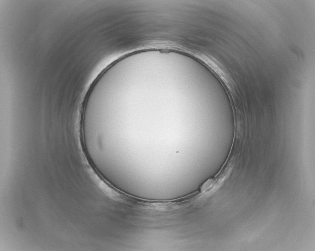 X0000115431438200911251216