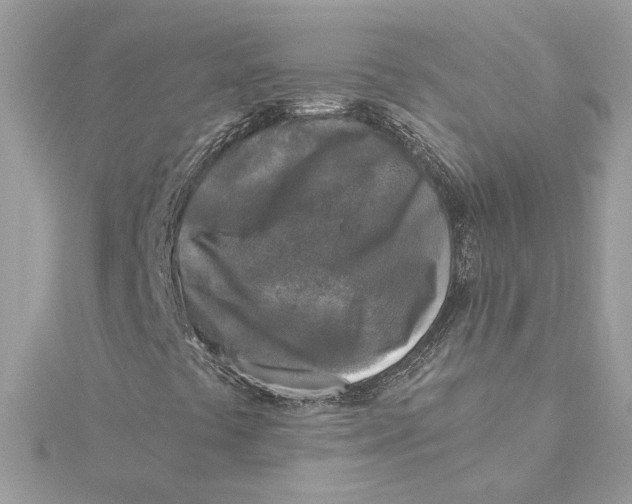 X0000115431441200911251216