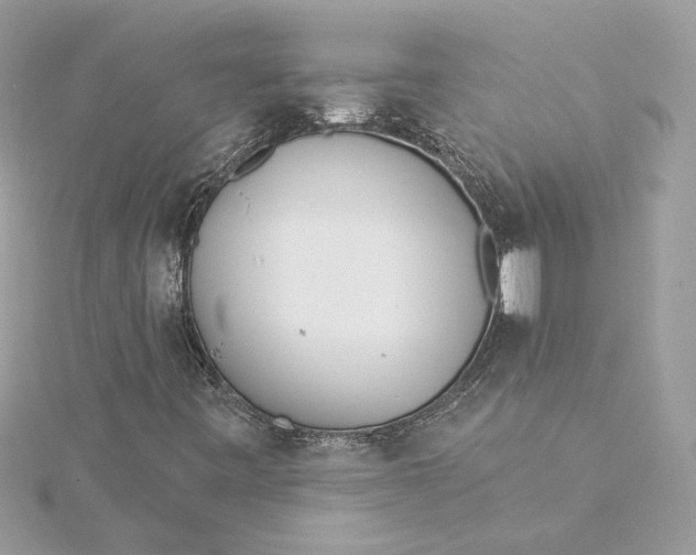 X0000115431443200911251216