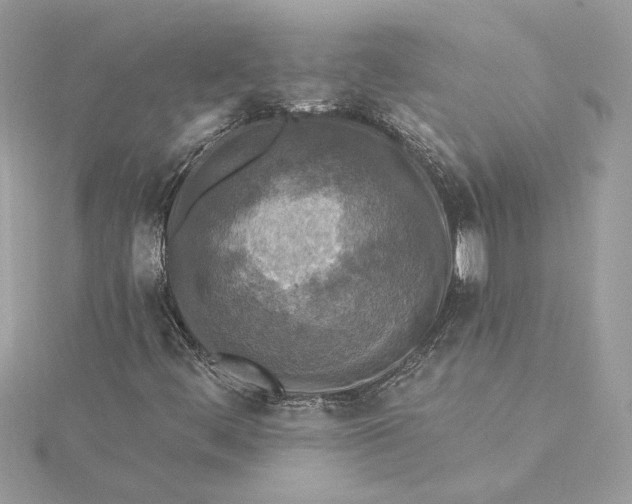 X0000115431444200911251216