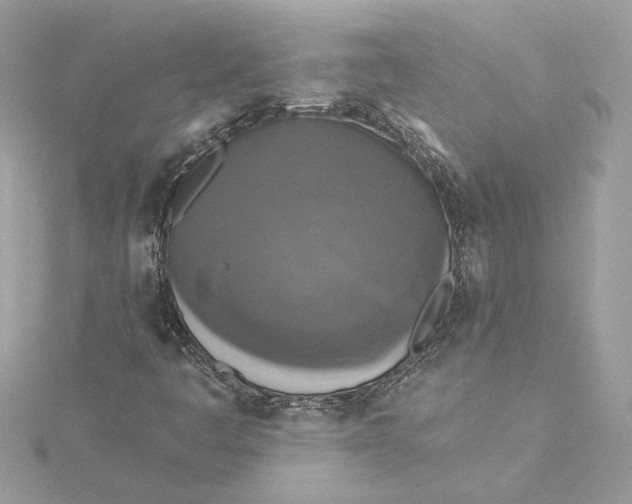 X0000115431445200911251216