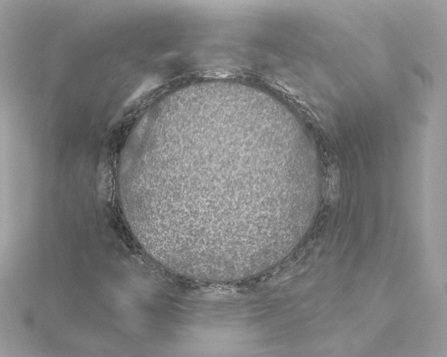 X0000115431446200911251216