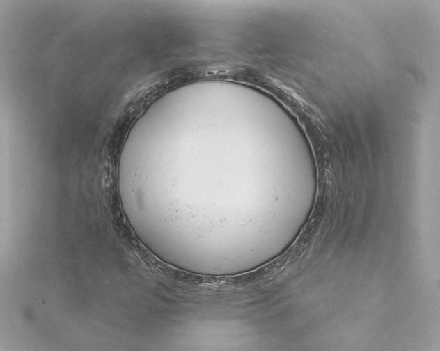 X0000115431447200911251216