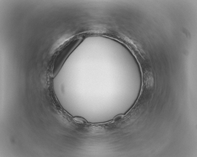 X0000115431448200911251216